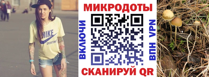 Галлюциногенные грибы ЛСД купить закладку Томск