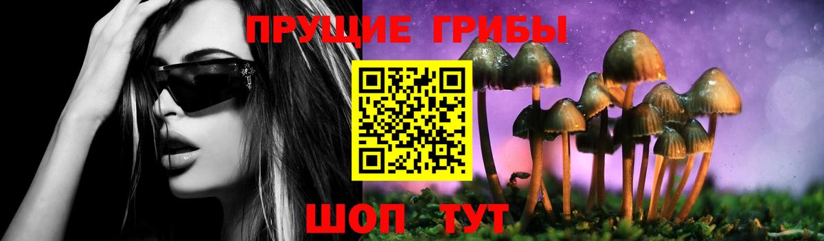 Томск  Галлюциногенные грибы GOLDEN TEACHER  Вход с VPN 