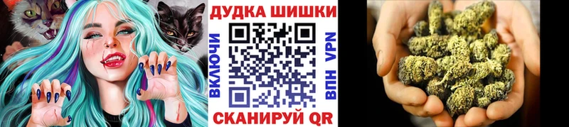 МАРИХУАНА сатива Томск